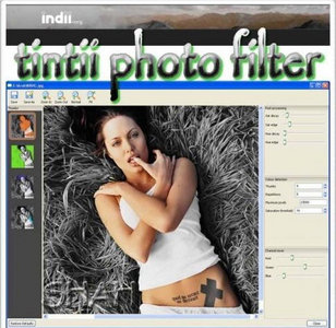 Tintii Photo Filter 2.5.3 Standalone & Plug-in