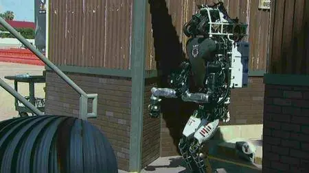 PBS - Nova: Rise Of The Robots (2016)