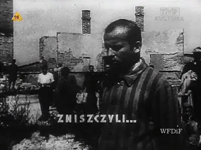 Wytwórnia Filmów Dokumentalnych i Fabularnych - Majdanek (1944)