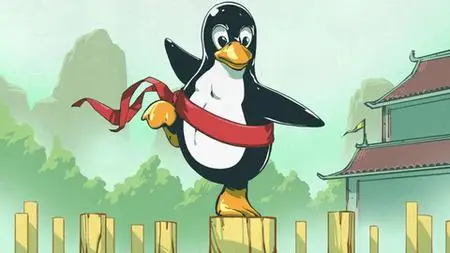 Bash Fu Full Course For Basic Recon & More Fun Hacking