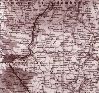 Báré (Bărăi) – Magyarpalatka (Palatca). The Mácsingó Family. Village music from the Transylvanian Heath (Belső-Mezőség)