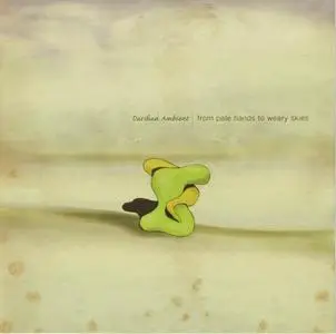 Darshan Ambient - 2 Studio Albums (2004-2008)