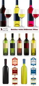 Vectors - Bottles with Different Wine