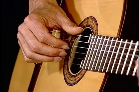 The Brazilian Sound for Fingerstyle Guitar