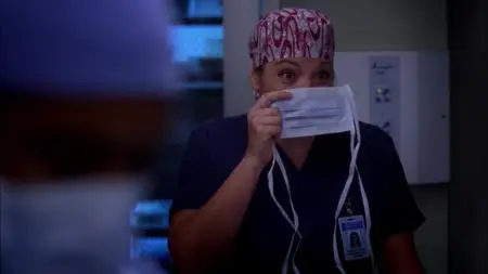Grey's Anatomy S09E22