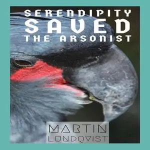 «Serendipity Saved the Arsonist» by Martin Lundqvist