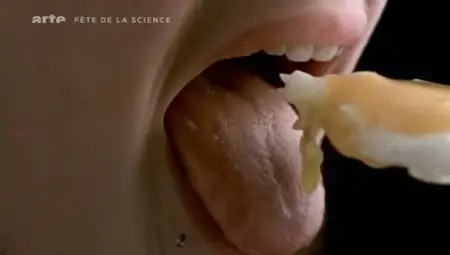 (Arte) La cuisine est-elle le propre de l'homme ? (2011)