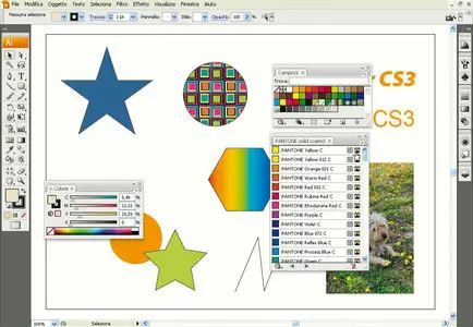 [Teacher-in-a-box] Illustrator CS4 - Corsi Professionali