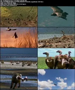 Earthflight S01E02