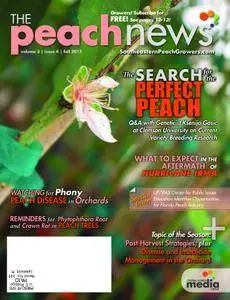 The Peach News - November 2017