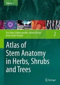 Atlas of Stem Anatomy in Herbs, Shrubs and Trees: Volume 2 (Repost)