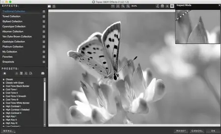 Topaz B&W Effects 2.1.0 DC 07.03.2015 Mac OS X