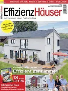 EffizienzHäuser - Februar/Marz 2017