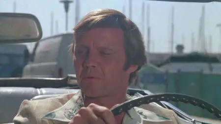 The Champ (1979)