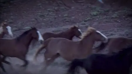 Smithsonian Ch. - Battle of Little Bighorn (2018)