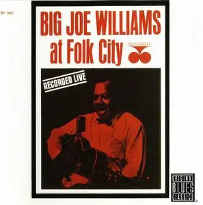 Big Joe Williams - At Folk City (1963) [Reissue 1995]