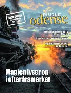 Pindle Odense – 15. oktober 2019