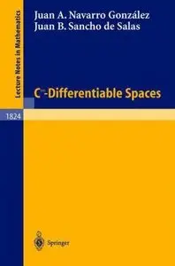 C^infinity - Differentiable Spaces [Repost]