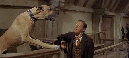 Doctor Dolittle (1967)