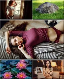 LIFEstyle News MiXture Images. Wallpapers Part (1560)