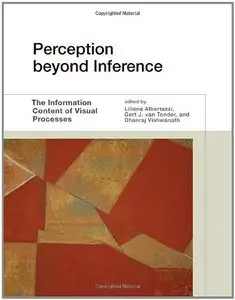 Perception beyond Inference: The Information Content of Visual Processes