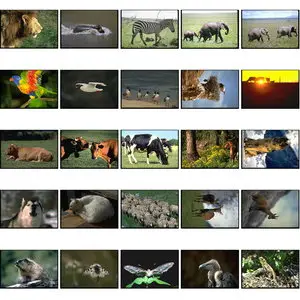 Goodshoot GS-013 Animals