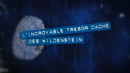 (Fr3) Pièces à conviction : L'incroyable trésor caché des Wildenstein (2012)