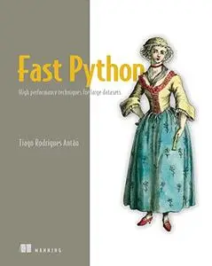 Fast Python: High performance techniques for large datasets