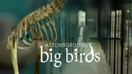 BBC - Natural World: Attenborough's Big Birds (2015)