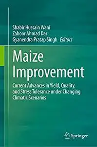 Maize Improvement