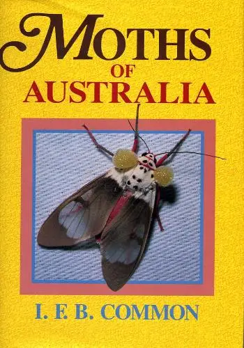 Moths of Australia (Lepidoptera: lycaenidae) (repost)