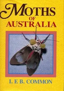 Moths of Australia (Lepidoptera: lycaenidae) (repost)