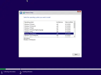 Windows 10 22H2 build 19045.6216 AIO 16in1 (x64) Preactivated August 2025