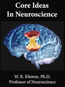 Core Ideas in Neuroscience