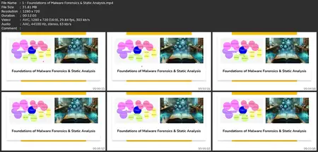 Malware Forensics Mastery V1:Static & Cloud Malware Analysis