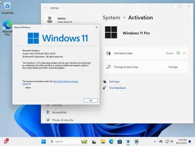 Windows 11 Pro 23H2 Build 22631.4037 (No TPM Required) Preactivated Multilingual August 2024