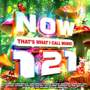 VA - NOW That’s What I Call Music! 121 (2025)
