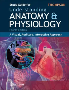 Study Guide for Understanding Anatomy & Physiology: A Visual, Auditory, Interactive Approach, 4th Edition