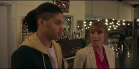 Harry Wild S04E04