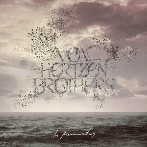 Von Hertzen Brothers - In Murmuration (2024) [Official Digital Download]