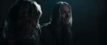 In the Lost Lands (2025)