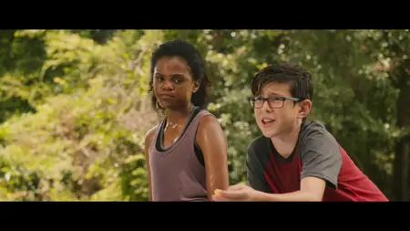 Overcomer (2019)