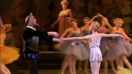 Don Quixote (2006)