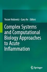 Complex Systems and Computational Biology Approaches to Acute Inflammation