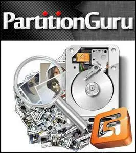 Eassos PartitionGuru 4.9.3.409 Professional Edition
