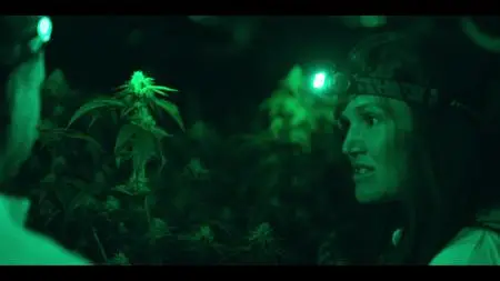 The Business of Drugs S01E05