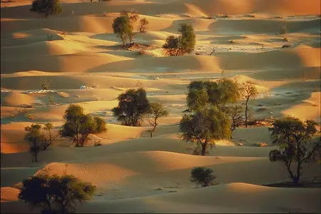 Wallpapers with Natural bliss
