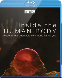 Inside the Human Body (2011)