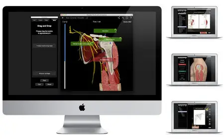 Shoulder Pro III with Animations v3.2.2 Mac OS X