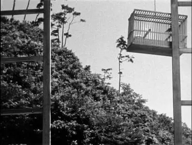 Yasujiro Ozu-Bakushû ('Early Summer') (1951)